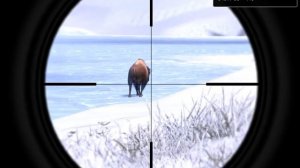 theHunter ОХОТА НА БИЗОНА