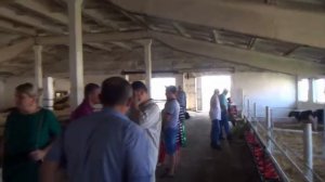 Содержание коров на молочной ферме. День фермы в КФХ Федора Куропятника, Краснодарский край