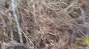 шевик с двигателем змз 406, газ 69 и нива 3d осенняя вылазка в грязь