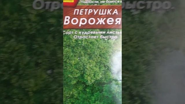?☘️?ОВОЩНОЙ НАБОР ДЛЯ ОГОРОДА НА ПОДОКОННИКЕ! ПРАКТИЧЕСКИЕ СОВЕТЫ.