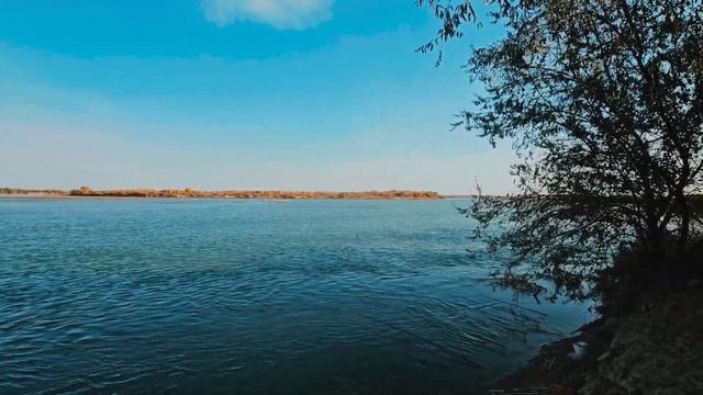 ОСЕННЯЯрыбалка АМУР на украинские голушки, сазаны, жерих. река ИЛЕ, ҚАЗАҚСТАН. 21.10.2021 смотреть онлайн