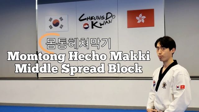 Taekwondo Terminology - Poomsae 7 Scissor & Uppercuts (Tutorial #7)