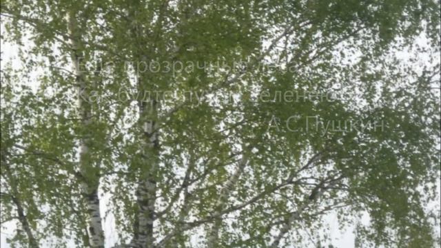 Приметы весны смотреть онлайн