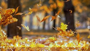 ? ASMR релаксация: Ветер и шуршание листвы для снятия напряжения и улучшения сна ? Звуки природы