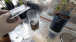 ♻️ Компост в домашних условиях