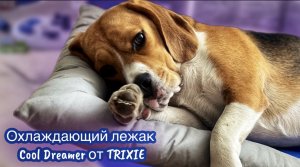 Охлаждающий лежак/коврик от TRIXIE для собак