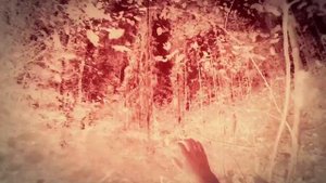 Торба-на-Круче - Музыка