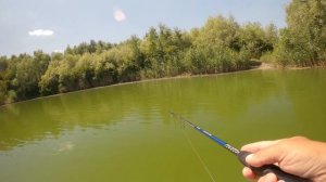 Джиг с лодки. Тест спиннинга NORSTREAM Navigator 782L.