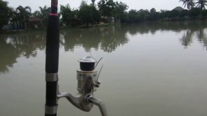 amazon fish park pattaya 2013 view of the lake