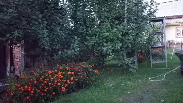 Часть вторая. Собираем урожай картошки. смотреть онлайн