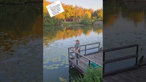 американе 🤣