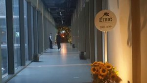 25Hours Hotel Dubai One Central 5* молодёжный,стильный отель в центре с лучшим баром в Дубае Monkey