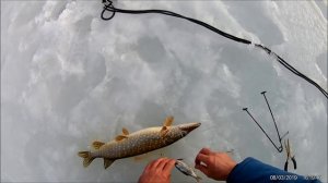 Ловля на жерлицы Финский залив