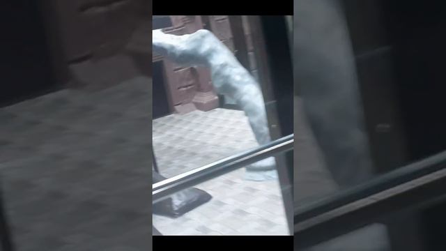 Кристина в зоопарке смотреть онлайн