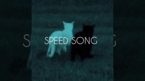 -на душе декабрь, а за окном май май. |speed up| #speed #speedupsongs #song #speedup ♡