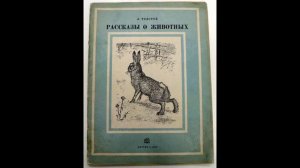 Толстой Черепаха