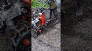 Мотоблок УГРА сажаем картошку.