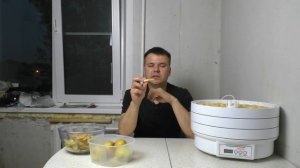 Как сушить яблоки в электросушилке