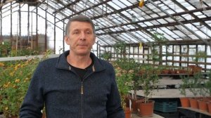 Сколько Зарабатывает Садовник? ЗАРАБОТОК САДОВНИКА Сколько стоит работа садовника?