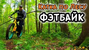 Покатушка по Лесу. Приготовление пиццы в лесу. Даунхилл на минималках.
