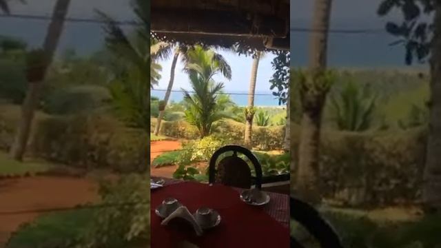 Клиника для прохождения панчакарма в Керала смотреть онлайн