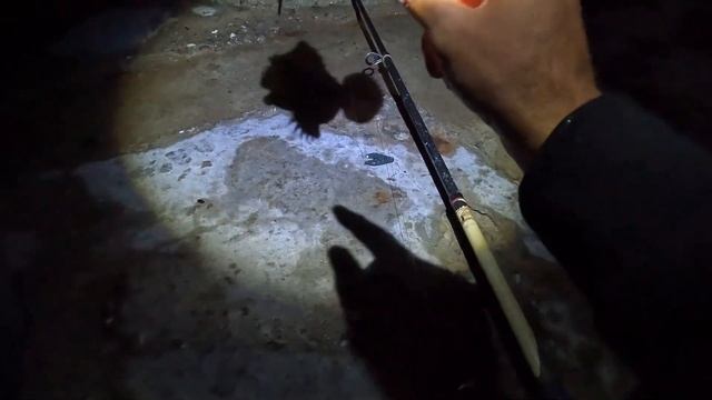 Ловля БЕШЕНОГО Луфаря! Рыбалка на Черном Море с Берега