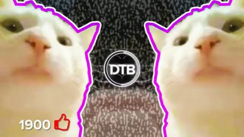 Кот мем песня