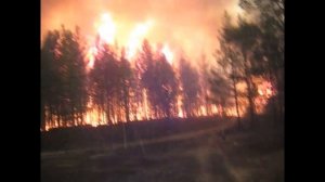Верховой пожар - взгляд с земли и фрагменты тушений с БЕ-200ЧС "Альтаир"