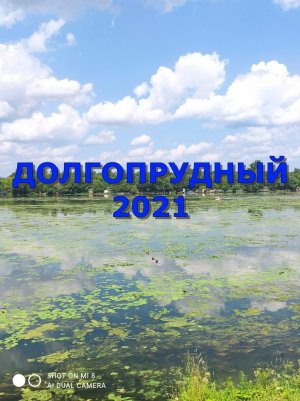 ДОЛГОПРУДНЫЙ 2021