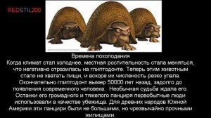 Глиптодонт (история вымерших животных)