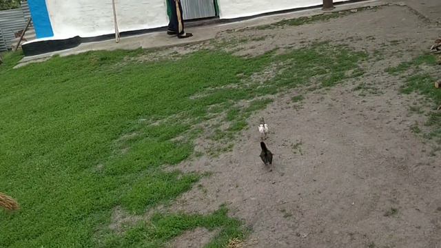 Приключения Любовь Киев в селе 2017 году🌻🌻🌻Воспоминания о лете смотреть онлайн