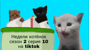 Недели котёнок сезон 2 серия 10 на tiktok