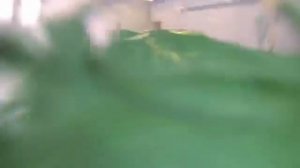 Занятия в бассейне в детском саду