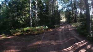 Алёховщина и кое что ещё!!!