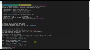 Установка Ubuntu 20.04 в RAID 1. Настройка и восстановление RAID массива.