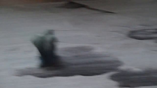 Говорящий неразлучник играет с мячиком смотреть онлайн