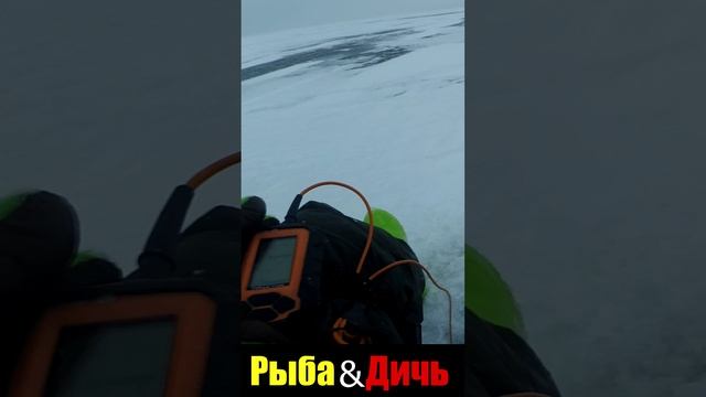 Поклёвки окуня по эхолоту практик 6М смотреть онлайн