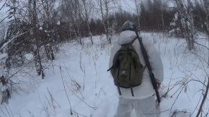 охота с русскими гончими на зайца. 04 .01. 22.