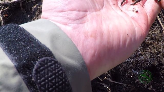Как выбрать мушку для рыбалки. How to choose a fly for fishing.
