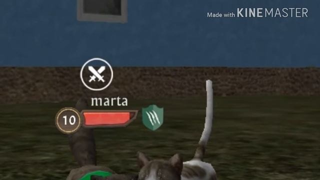 Мои фото из Cat Sim смотреть онлайн