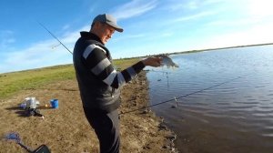 Рыбалка возле Уртазыма. Дохлая рыба по всему берегу.