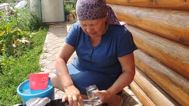 ЗАГОТОВКА СЕМЯН ТОМАТОВ В ДОМАШНИХ УСЛОВИЯХ ЧАСТЬ 2 смотреть онлайн