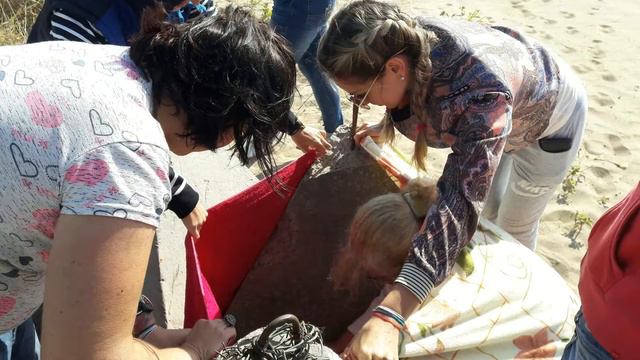 Осеннее равноденствие: значение, польза. Мастер-класс от Светланы Зарецкой смотреть онлайн