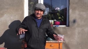 Чем кормить азиатского щенка в 4 месяца, или сколько это стоит!