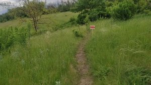 Ходить надо осторожно.