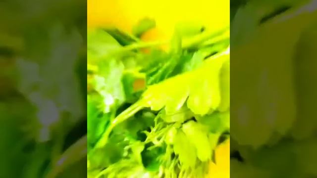 Диетический суп смотреть онлайн