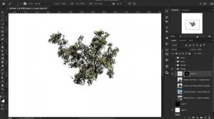 5 Custom Brushes That All Photoshop Users Should Have