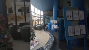 Обзор пляжа и территории отеля Turquoise Beach Hotel 4*, декабрь 2019