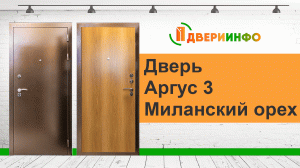 Дверь Аргус 3