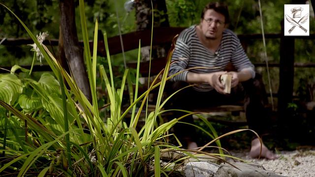 Кок(А)блог. Белых, Пантелеев. Республика ШКИД (ver. 2) смотреть онлайн